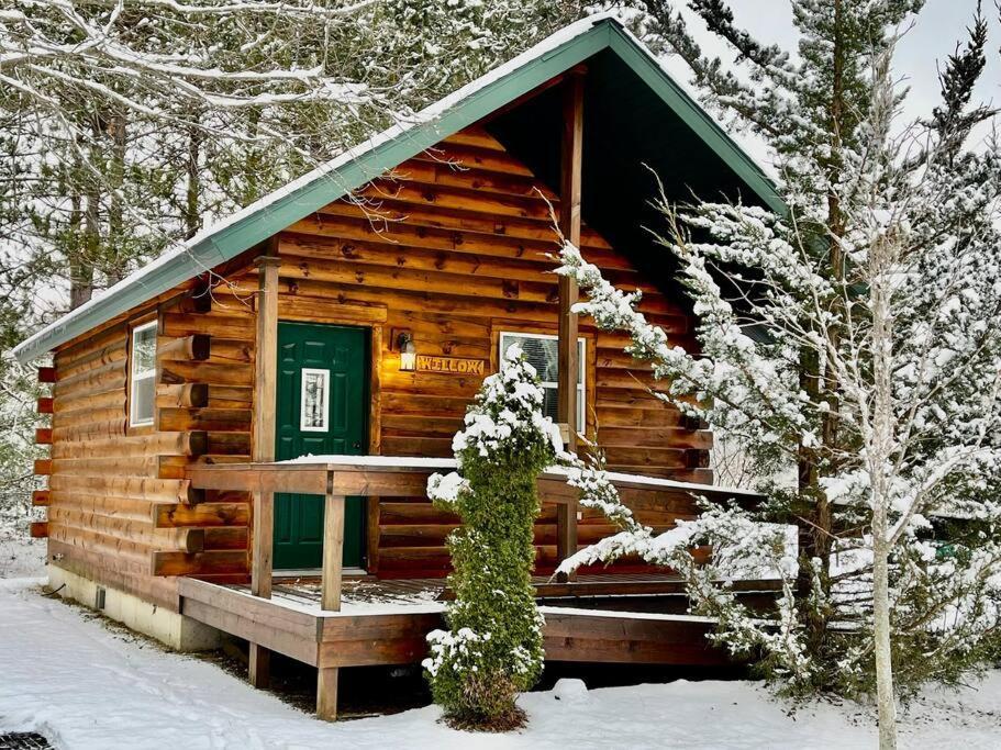 Willow Cabin Thompsonville Zewnętrze zdjęcie